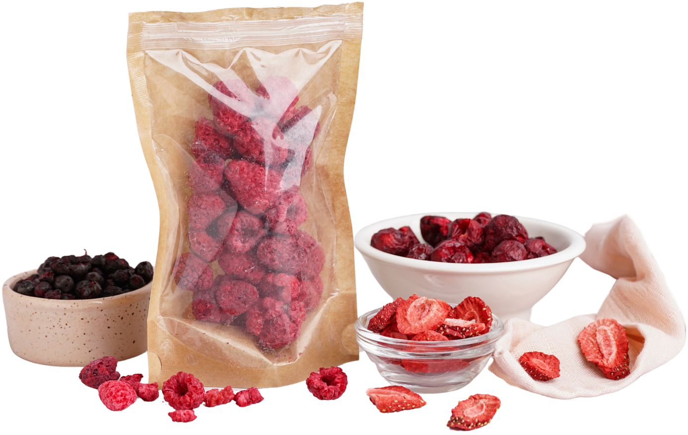 Freeze-dried fruits and vegetables showcasing Leosmak lyophilization technology
